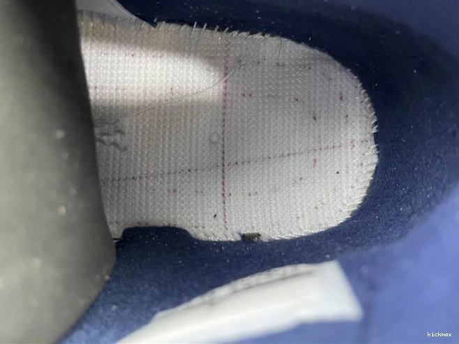 Rep MAX Columbia (2015) Jordan Retro 4 314254-107 0702